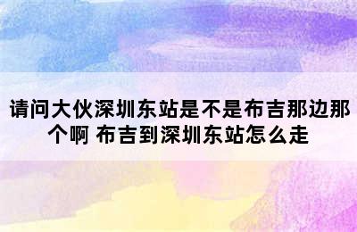 请问大伙深圳东站是不是布吉那边那个啊 布吉到深圳东站怎么走